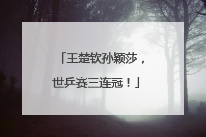 王楚钦孙颖莎，世乒赛三连冠！