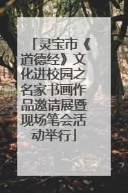 灵宝市《道德经》文化进校园之名家书画作品邀请展暨现场笔会活动举行