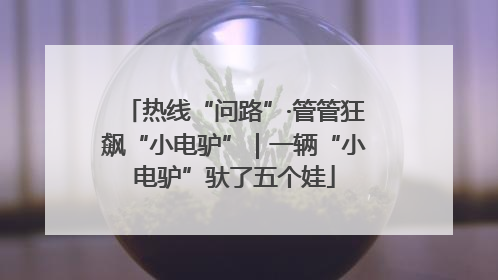 热线“问路”·管管狂飙“小电驴”｜一辆“小电驴”驮了五个娃