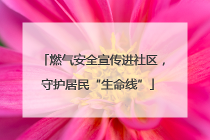 燃气安全宣传进社区，守护居民“生命线”