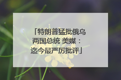 特朗普猛批俄乌两国总统 美媒：迄今最严厉批评