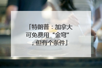 特朗普：加拿大可免费用“金穹”，但有个条件