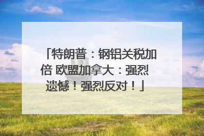 特朗普：钢铝关税加倍 欧盟加拿大：强烈遗憾！强烈反对！