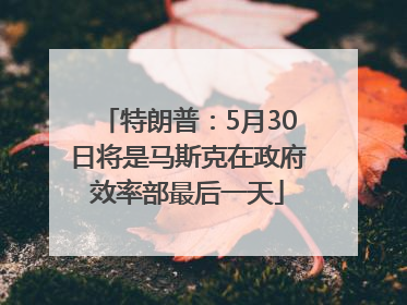 特朗普：5月30日将是马斯克在政府效率部最后一天