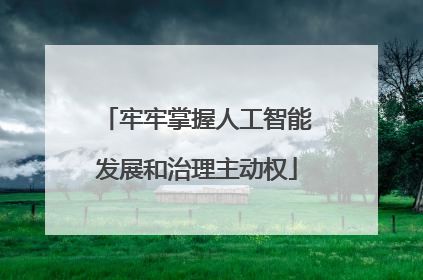 牢牢掌握人工智能发展和治理主动权