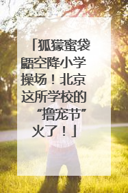 狐獴蜜袋鼯空降小学操场！北京这所学校的“撸宠节”火了！
