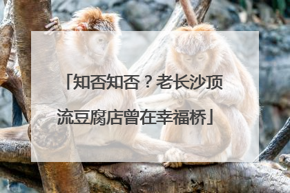 知否知否？老长沙顶流豆腐店曾在幸福桥