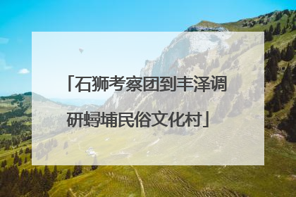 石狮考察团到丰泽调研蟳埔民俗文化村