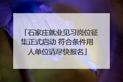 石家庄就业见习岗位征集正式启动 符合条件用人单位请尽快报名