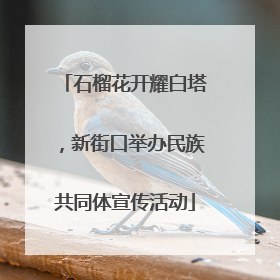 石榴花开耀白塔，新街口举办民族共同体宣传活动