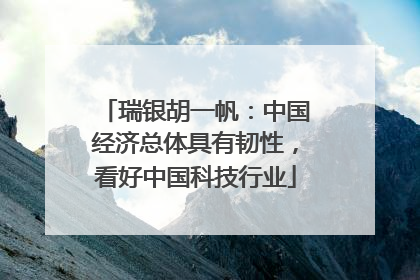 瑞银胡一帆：中国经济总体具有韧性，看好中国科技行业