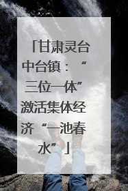 甘肃灵台中台镇：“三位一体”激活集体经济“一池春水”