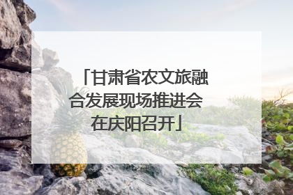 甘肃省农文旅融合发展现场推进会在庆阳召开