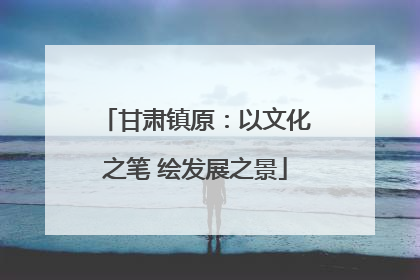 甘肃镇原：以文化之笔 绘发展之景