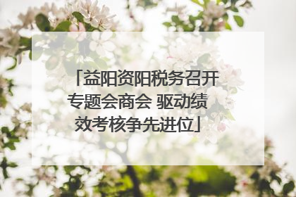 益阳资阳税务召开专题会商会 驱动绩效考核争先进位