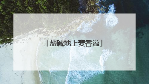 盐碱地上麦香溢