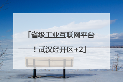 省级工业互联网平台！武汉经开区+2