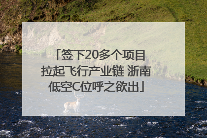 签下20多个项目 拉起飞行产业链 浙南低空C位呼之欲出