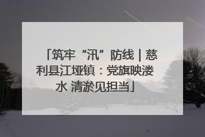 筑牢“汛”防线｜慈利县江垭镇：党旗映溇水 清淤见担当