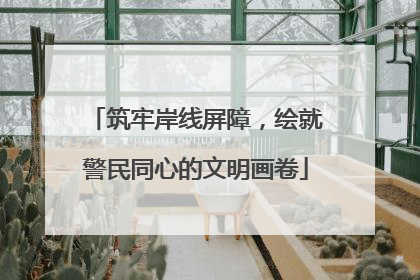 筑牢岸线屏障，绘就警民同心的文明画卷