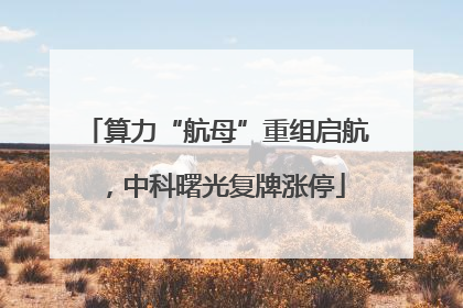 算力“航母”重组启航，中科曙光复牌涨停