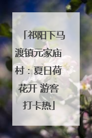 祁阳下马渡镇元家庙村：夏日荷花开 游客打卡热