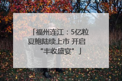 福州连江：5亿粒夏鲍陆续上市 开启“丰收盛宴”