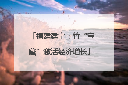 福建建宁：竹“宝藏”激活经济增长
