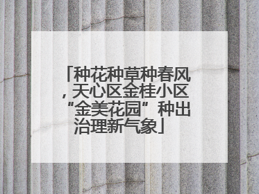 种花种草种春风，天心区金桂小区“金美花园”种出治理新气象