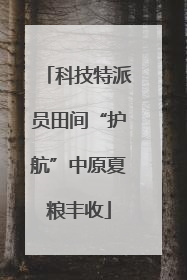 科技特派员田间“护航”中原夏粮丰收