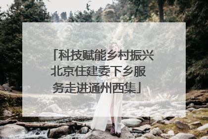 科技赋能乡村振兴 北京住建委下乡服务走进通州西集