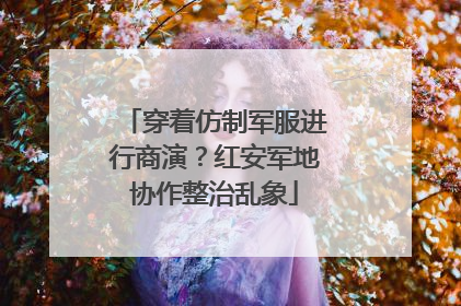 穿着仿制军服进行商演？红安军地协作整治乱象