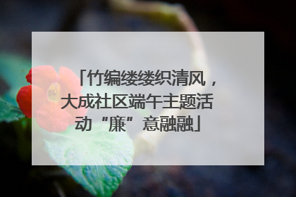 竹编缕缕织清风，大成社区端午主题活动“廉”意融融