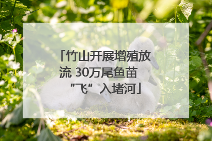竹山开展增殖放流 30万尾鱼苗“飞”入堵河