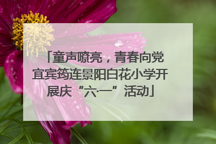 童声嘹亮，青春向党 宜宾筠连景阳白花小学开展庆“六·一”活动