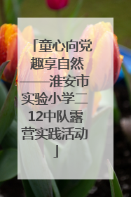 童心向党 趣享自然——淮安市实验小学二12中队露营实践活动