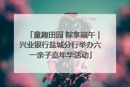 童趣田园 粽享端午｜兴业银行盐城分行举办六一亲子嘉年华活动