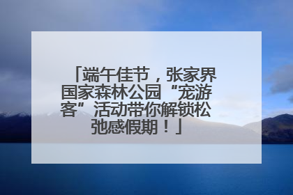 端午佳节，张家界国家森林公园“宠游客”活动带你解锁松弛感假期！