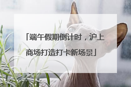 端午假期倒计时，沪上商场打造打卡新场景