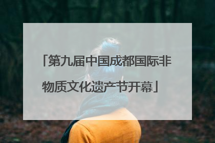 第九届中国成都国际非物质文化遗产节开幕