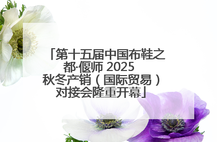 第十五届中国布鞋之都·偃师 2025 秋冬产销（国际贸易）对接会隆重开幕