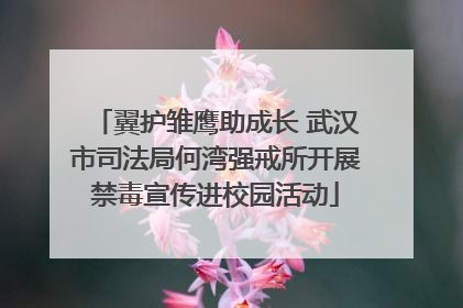 翼护雏鹰助成长 武汉市司法局何湾强戒所开展禁毒宣传进校园活动