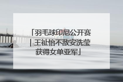 羽毛球印尼公开赛｜王祉怡不敌安洗莹 获得女单亚军