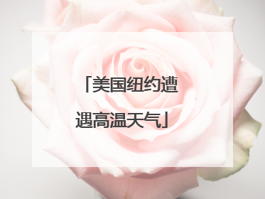 美国纽约遭遇高温天气