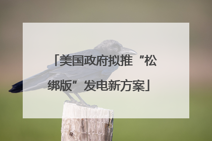 美国政府拟推“松绑版”发电新方案