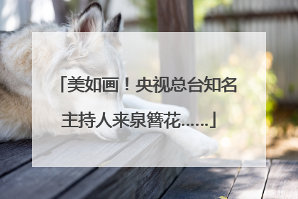 美如画！央视总台知名主持人来泉簪花……