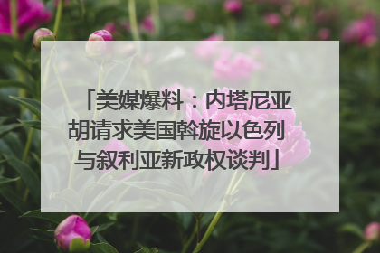 美媒爆料：内塔尼亚胡请求美国斡旋以色列与叙利亚新政权谈判