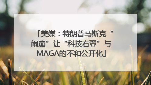 美媒：特朗普马斯克“闹崩”让“科技右翼”与MAGA的不和公开化