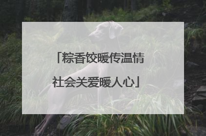 粽香饺暖传温情 社会关爱暖人心