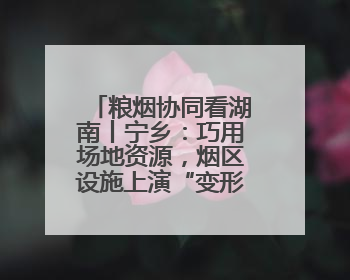 粮烟协同看湖南丨宁乡：巧用场地资源，烟区设施上演“变形记”